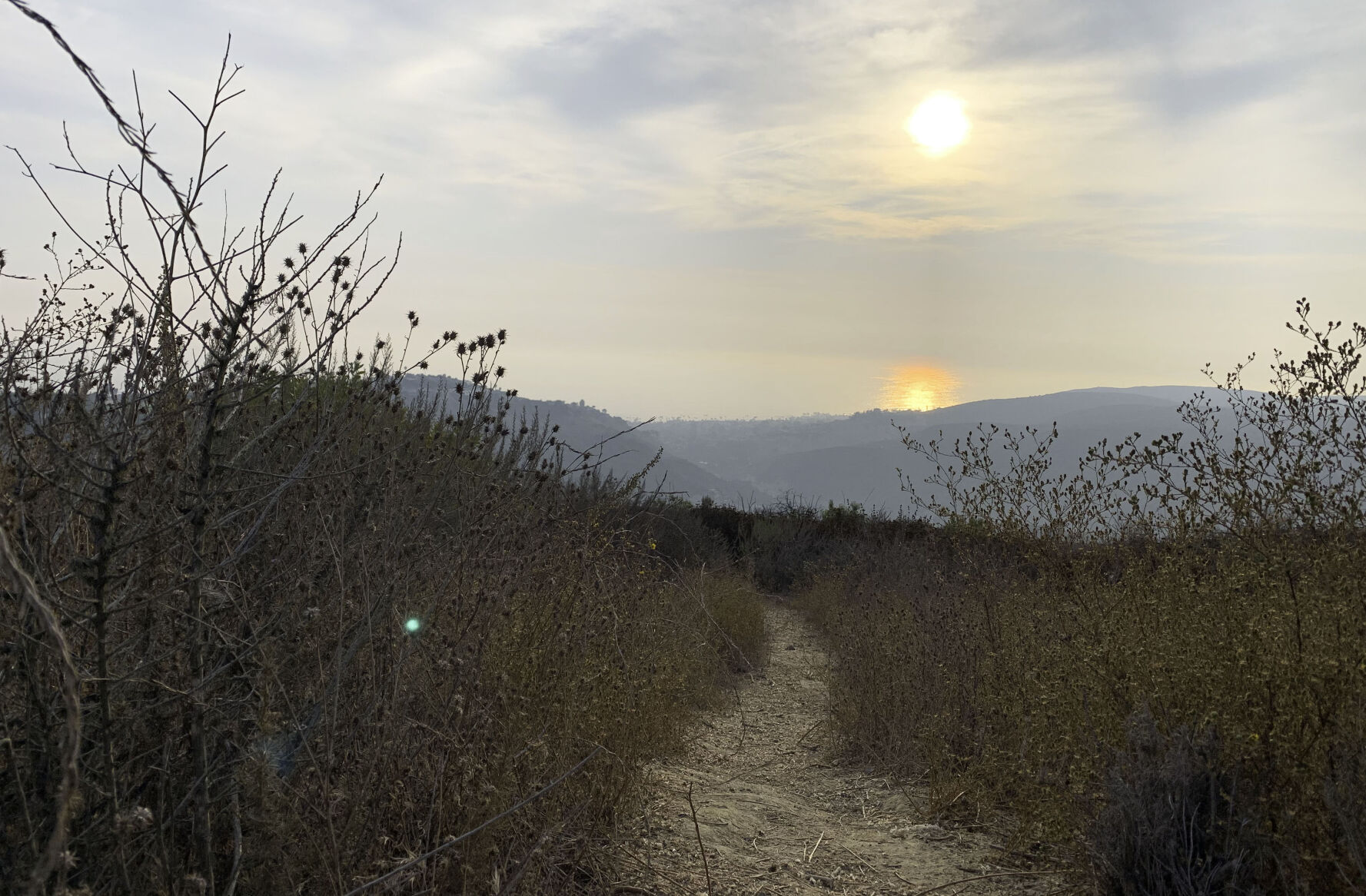 Five local spots: Laguna